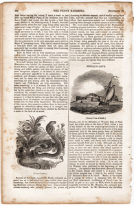 The Penny Magazine articles from 1832